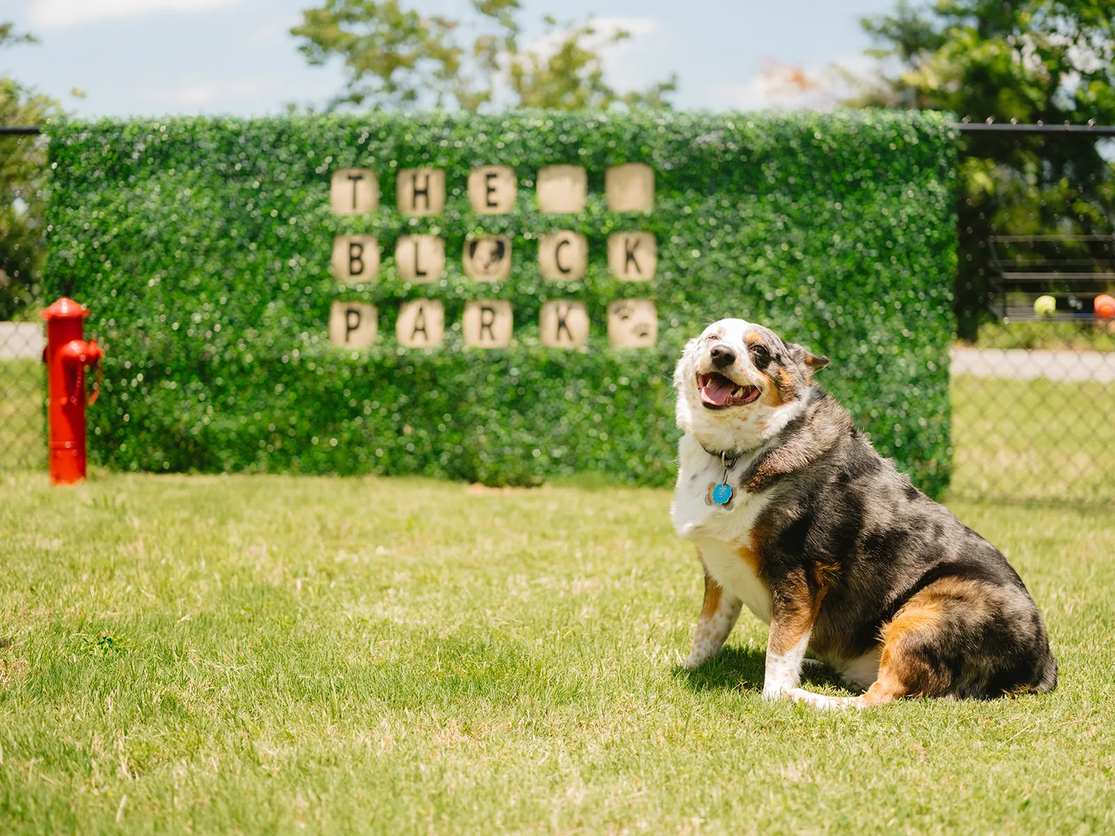 Happy dog sitting in front of THE BLOCK PARK sign at THE BLOCK HOTEL on-site dog park